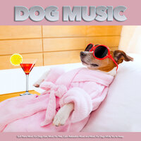 Relaxing Music For Pets While You're Away - Dog Music & Music for Dog's Ears & Music For Pets