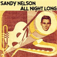 Teen Beat - Sandy Nelson