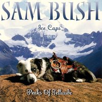 I Put A Spell On You - Sam Bush
