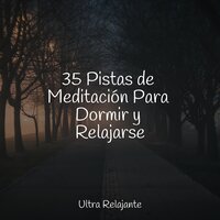 Gongs - Ioga & Natureza Musica Bem-Estar Academia & Sueño Lucido