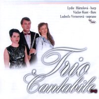 Meine Seele hört im Sehen, HWV 207 - Lydie Härtelová & Vaclav Kunt & Ludmila Vernerová & Георг Фридрих Гендель