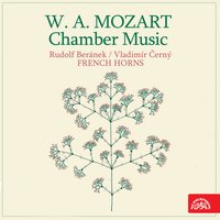 Horn Quintet in E-Flat Major: - - Suk Quartet, Vladimír Černý & Suk Quartet & Vladimir Cerny & Вольфганг Амадей Моцарт