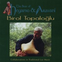 Arsima Seni - Birol Topaloğlu