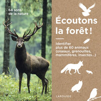 La grenouille rousse - Sons De La Nature