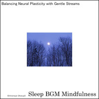 Holistic Balance of Hormones and Relaxation Techniques - Sleep BGM Mindfulness