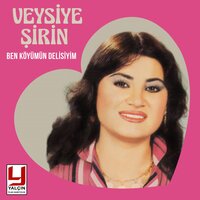 Nefret Edemiyorum - Veysiye Şirin
