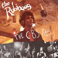 Walk Don't Run - The Rubinoos
