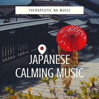 Sound Sleep - Therapeutic NA Music & The Time Of Meditation & Asian Spa Music Meditation