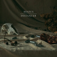 Shadowless - Hiatus & Malahat