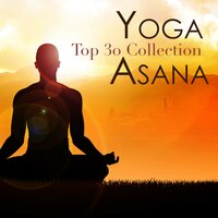 Obtaining the Mindfulness - Asana Perkins