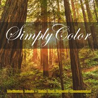 Aromatic Sensations - Simply Color