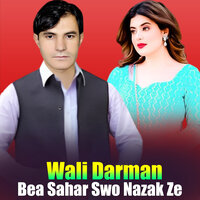 Da Rasti Meena Ta - Wali Darman
