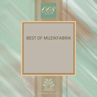 Out Of Control - Muzikfabrik & Lauer & Canard