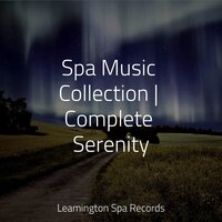 Ambience - Sleep Lullabies for Newborn & Music to Relax in Free Time & Weather Sounds