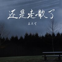 还是走散了 - 王天戈