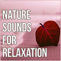 Ocean Waves Meditation - Total Relax Music Ambient