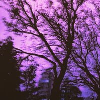 Gris - Fendireplica & Marts