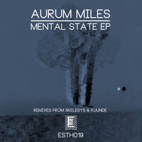 Don't Touch My Synths - Aurum Miles & Kuunde
