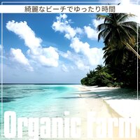 Pineapple Dream Scene - Organic Farm