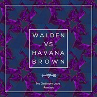 No Ordinary Love - Walden & Havana Brown