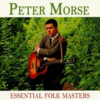 I'm The Man That Built The Bridge - Peter Morse