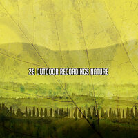 Take A Walk In Nature - Sounds Of Nature Relaxation