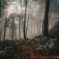 SİS - Erol Ersoy Cesur