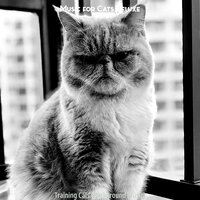 Music (Music) - Music for Cats Deluxe