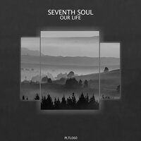 In Vibes - Seventh Soul