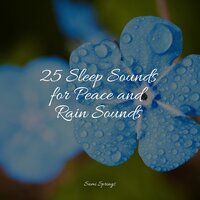 Birds at Sunset - Relaxed Minds & Yoga Para Ninos & Echoes of Nature