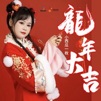 龙年大吉 - 小西瓜一枚