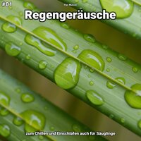 Regengeräusche, pt. 48 - Fips Munzer