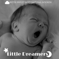 Combat Anxiety - Andrew Apnea & Children Music Academy & Children Music Academy & Andrew Apnea