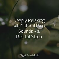 LoFi Rain in the Shed - Ambientalism & Study Power & Water Spa