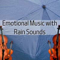 Dimensions - Violin Cello Zone