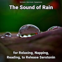 The Sound of Rain Pt. 56 - Nature Sounds & Rain Sounds & Regengeräusche