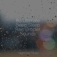 Soothing Beach Ambience (Gentle Waves) - Exam Study Classical Music Orchestra & Shakuhachi Sakano & Zen Meditate