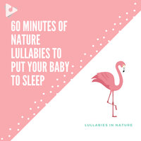 Brahms Lullaby with Calming Nature Sounds - Lullabies In Nature & Bedtime Lullabies & Lullabyes