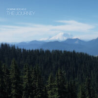 Why Don't You Give Up - Dominik Büchele