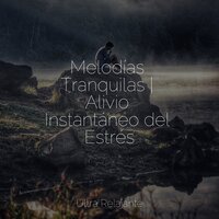 Espejismo Crepuscular - Master Meditação & Piano para Relajarse & Musica Para Dormir Bebes