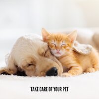 Be Good - Pet Care Club