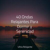 Ecos Calmantes - Yoga Para Ninos & Sueño Lucido & Relajación Meditar Academie
