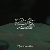 Ocean, Shore, Sparrows - Nature Sounds for Relaxation and Sleep & Preschool Kids & Rain Forest FX