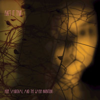 Isn't It True - Hope Sandoval