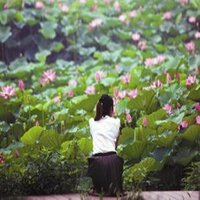 秋之歌 - 邹希梅