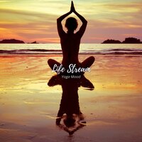 Soft Sakura Petals - Yoga Mood