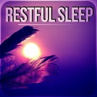 Healing Massage Music - Sleepy Music Zone