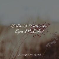 Soothing Soul - Guided Meditation Music Zone & Native American Flute & Natural Sound Makers