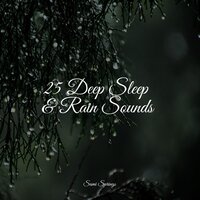 Wet Outside - Sonidos de la Naturaleza Relax & Nature Sounds for Relaxation and Sleep & Powerthoughts Meditation Club