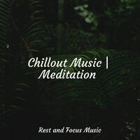 Jungle Trees - Happy Baby Lullaby Collection & Studying Music & Study Music